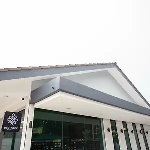 3* 酒店 大树精品酒店